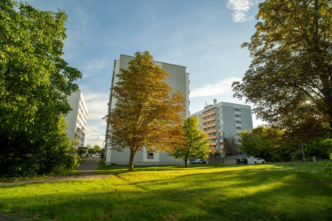 Wohnhochhaus hinter einem Ahorn auf der Rasenfläche